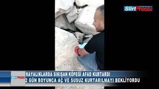 KAYALIKLARDA SIKIŞAN KÖPEĞİ AFAD KURTARDI