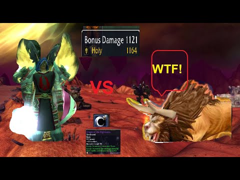 Shockadin vs Feral druid (results may surprise u)