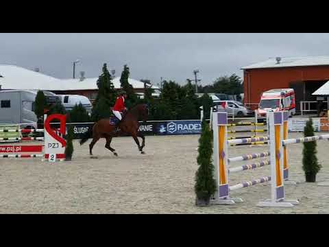 Coldwater (Carambole x Colandro) 2019/09/08 Finał SCMK Olsza - 120cm I SPRZEDANY / SOLD