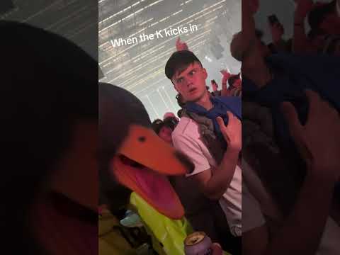 UK Raves 🐎 #dj #rave #dance #music #trending #viralshorts #memes #housemusic #viralvideo #funny #fyp