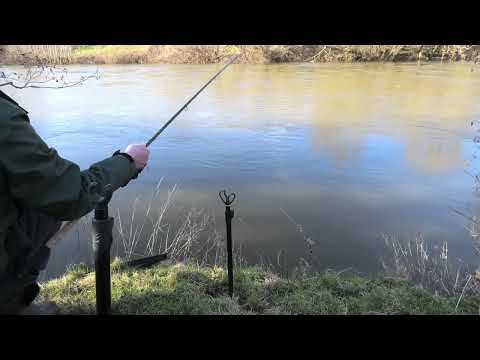 Cast, Bite and Fight - 9 02 Wye Floodwater Barbel 26/01/2024.