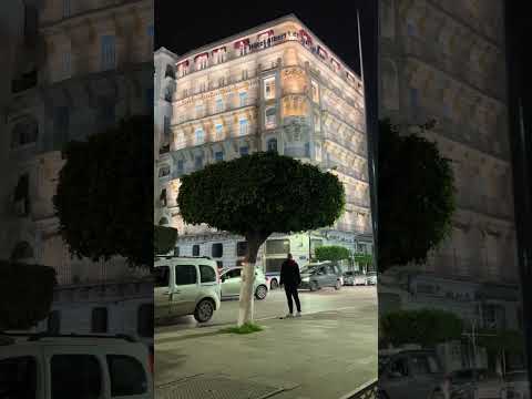 Algiers Night Life 🇩🇿🌃