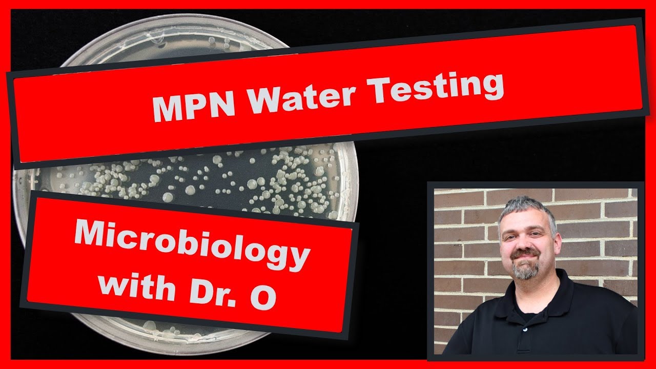 MPN Most Probable Number Water Quality Testing:  Microbiology