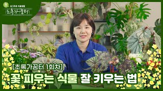[2023 청춘문화 노리터] 싱그러운 식물생활, 초록가꿈터 1회차 : 꽃 피우는 식물 잘 키우는 법