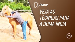 Miniatura do vídeo