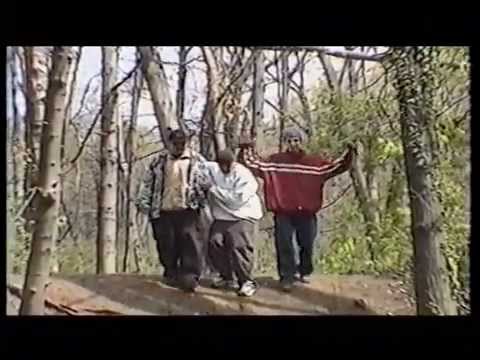 Мъртвите кучета - Залога