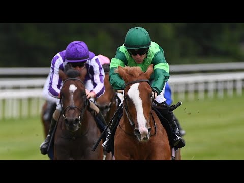 BENEVENUTO CELLINI looks exciting for Ballydoyle | Racing TV