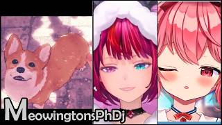 春泥棒 - IRyS, 苺咲べりぃ \ ヨルシカ (MeowingtonsPhDj Mix)