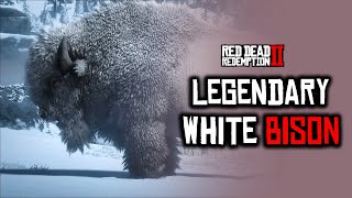 Red Dead Redemption 2 Legendary White Bison Location | First Clue