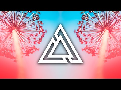 fwd/slash - Aural Therapy