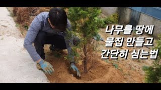 나무 심는 방법 / 경계수 심는법/ 경계목 심는법 #나무식재 #나무간편식재  #나무물집만들기