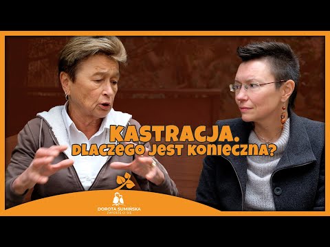 Kastracja psów i kotów. Dlaczego jest konieczna?
