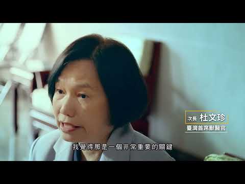 豬瘟非疫國－除疫成功【防檢署APHIA】