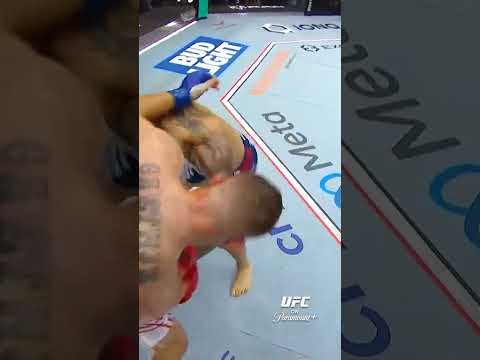 UFC video artwork
