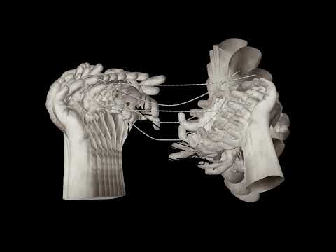 Johan S & Oliver Knight - Get Weak (Official Video)