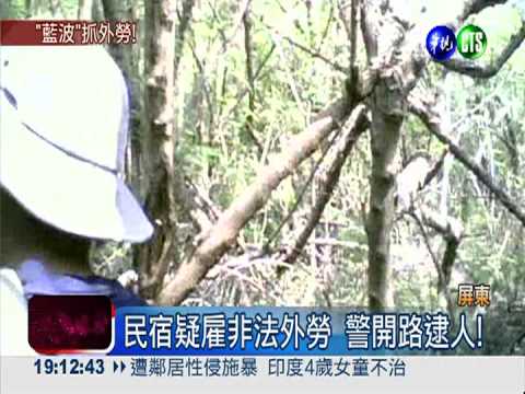抓外勞變叢林戰 警砍樹閃毒蛇!