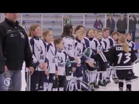 2014 MAHA Girls 10U Tier II State Championship Game