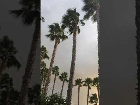 @JJ’S Bistro 01/26/2021