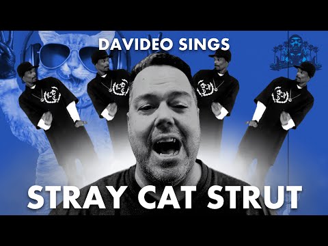 DAVIDEO SINGS: Stray Cats - Stray Cat Strut (cover)