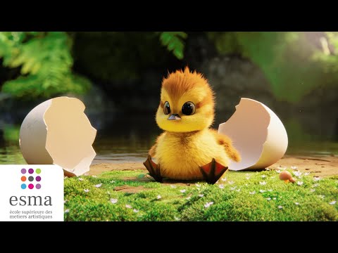 Quack ! - ESMA 2024