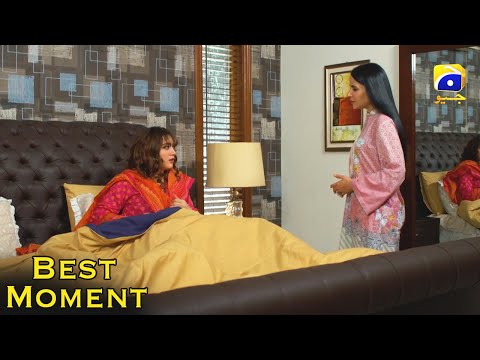 Grift Episode 63 || Ali Abbas - Saniya Shamshad || 𝐁𝐞𝐬𝐭 𝐌𝐨𝐦𝐞𝐧𝐭 𝟎𝟐 || Har Pal Geo