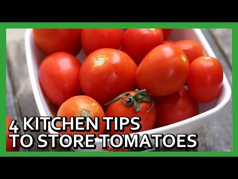 download lagu mp3 mp4 What To Do With Excess Grape Tomatoes, download lagu What To Do With Excess Grape Tomatoes gratis, unduh video klip What To Do With Excess Grape Tomatoes