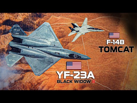 The Gray Ghost | YF-23A Black Widow II VS F-14B Tomcat | DOGFIGHT | Digital Combat Simulator | DCS |