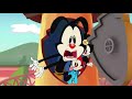 Yakko Interrupts The Intro Animaniacs Reboot
