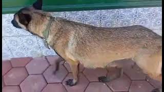 هيا اسمعوا من جرحتني بالكلام الجارح