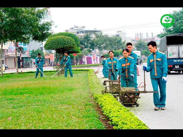 Chăm sóc cây xanh của công ty Quản lý công trình đô thị Hải Dương