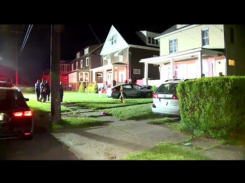 Car crashes into house in Farrell