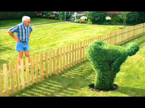 Ganz Schön Feist - König von Deutschland