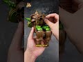 UNBOXING Transformers Beast Wars Rhinox Transformers Actionfigures Hasbro