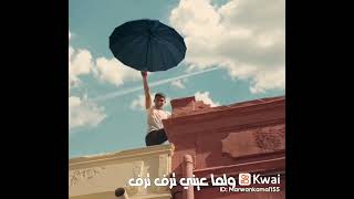 الغرام لو ينقاس حبي ليك هو الاساس