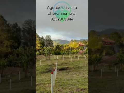 Lotes de 1500 M2 con escritura pública al 100% entre Barbosa y Santo Domingo, Antioquia.