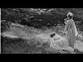 ❦ Pagan Woods: The Guitar Of John Renbourn • John Renbourn