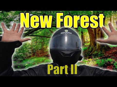 Motorcycle Camping Trip | New Forest | Part 2 | Revenge of the Kill Switch