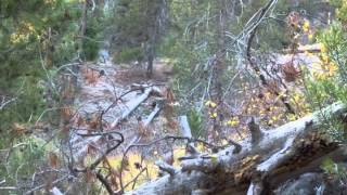 "Woody Creek" by Edgar Meyer (Fan Video)