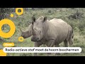Is dit de manier om neushoorn-stropers te stoppen?