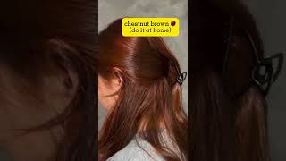 Chestnut Brown Hair Color Shampoo Dye | No Bleach | Winered Shades | Fall Hairstyle Ideas