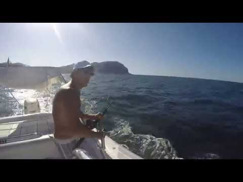 traina leggera palermo 19082015