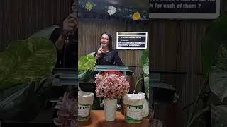 A HEDGE around / A WALL of PROTECTION August 17, 2025