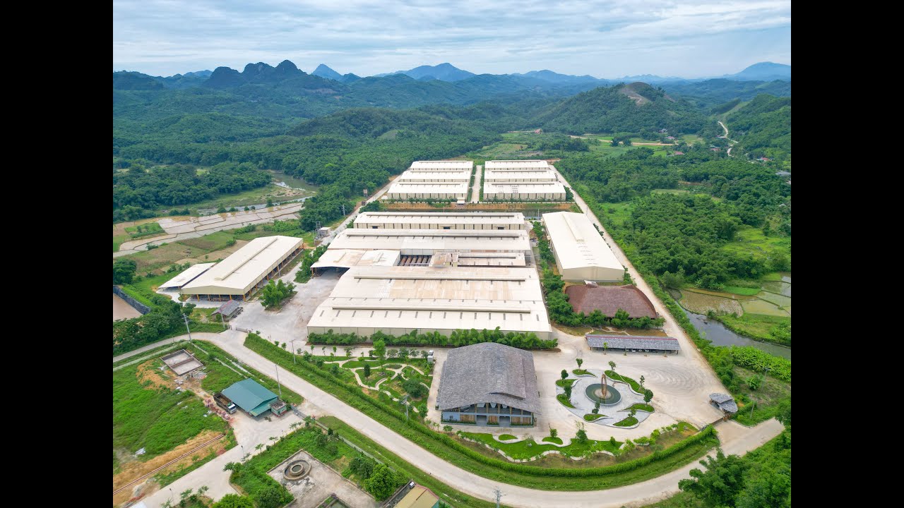 Introducing Bamboo King Vina - Leading wood & bamboo manufacturer in Vietnam