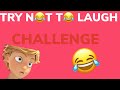 The Best 19 English Miraculous Ladybug Funny Memes