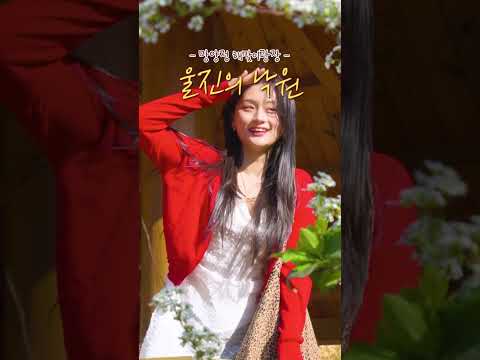 울진으로 떠날 시간✨