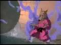 Teenage Mutant Ninja Turtles Intro + Horse The ...