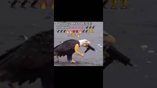 Cover art for WTF IS A KILOMETERRR