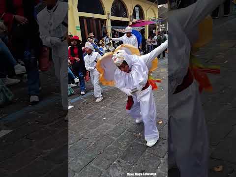 Fiesta de la Mamá Negra Latacunga Cotopaxi Ecuador #arte #cultura #tradicion