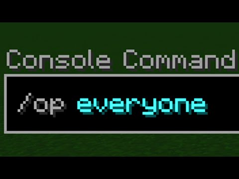 I abused every command in Minecraft… [Lifesteal]