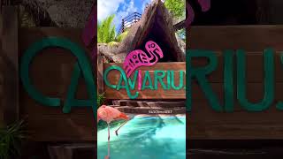 Located just a cruise away from Florida! #shorts #cruise #costamaya